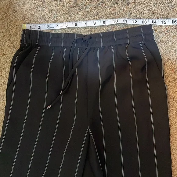 Anine Bing Isabella Pinstripe Pants Drawstring Pull On Black Stripe Size Medium - Picture 13 of 16